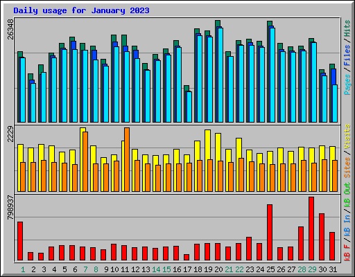 Daily usage for January 2023