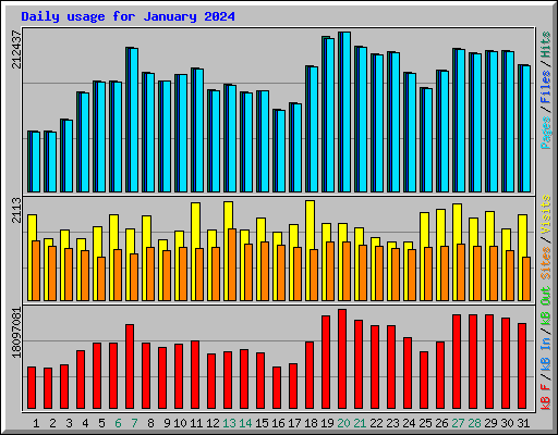 Daily usage for January 2024