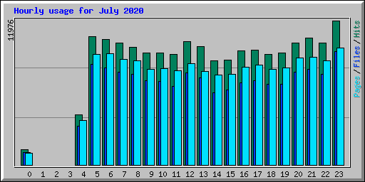 Hourly usage for July 2020