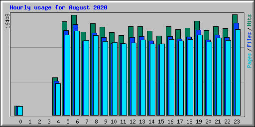 Hourly usage for August 2020