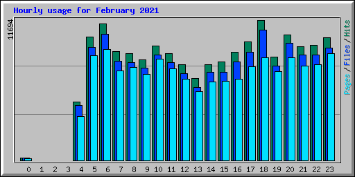 Hourly usage for February 2021