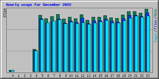 Hourly usage for December 2022