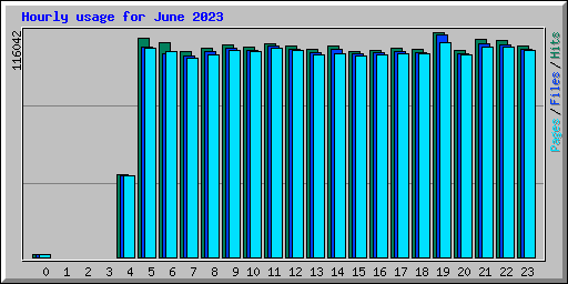 Hourly usage for June 2023