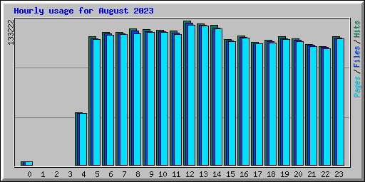 Hourly usage for August 2023