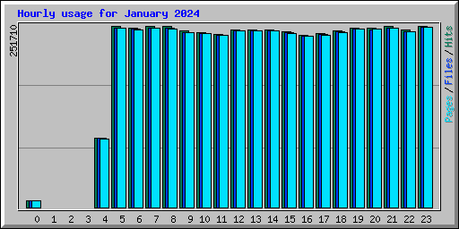 Hourly usage for January 2024