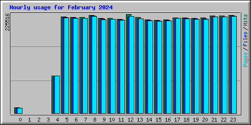 Hourly usage for February 2024